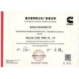 JIANGSU STONE POWER CO.,LTD Certifications