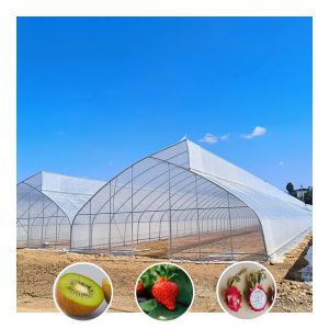 Single-Span Sawtooth Design Tropical Plastic Film Greenhouse Tunnel Customized