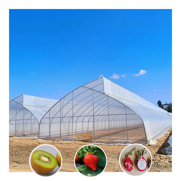Single-Span Sawtooth Design Tropical Plastic Film Greenhouse Tunnel Customized