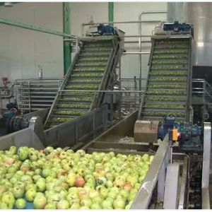 Natural Flavor Mango Processing Line 63% Brix