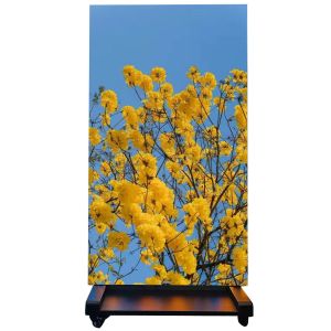 3840Hz P3RGB Outdoor Digital Led Signs With Aluminum Profile