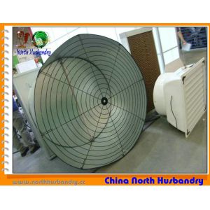 Quality Online Get Cheap Poultry Exhaust Fan for sale