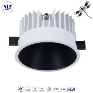 IP66 Waterproof 15W/18W/28W/38W/48W 3years Warranty LED Down Light LED Light