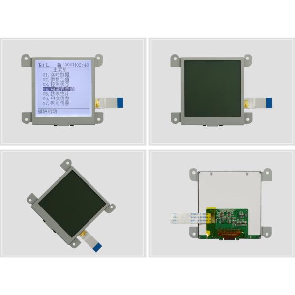 3 Inch COG Monochrome LCD Monitor 160x160 FSTN Monochrome LCD Screen With COG