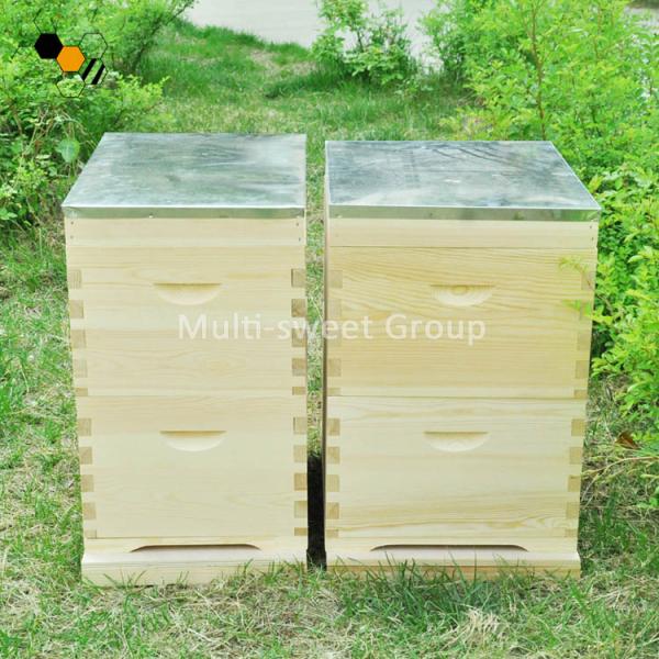 10 Frames Pinus Sylvestris 20mm Australian Style Bee Hive