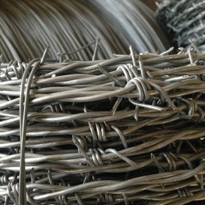 Normal Twisted Electric Galvanized Barbed Wire Security Barbed Wire Fencing In