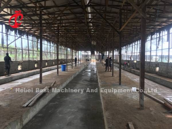 Cold Galvanized Poultry Battery Cage System 40 doors Egg Laying Chicken Cage Adela