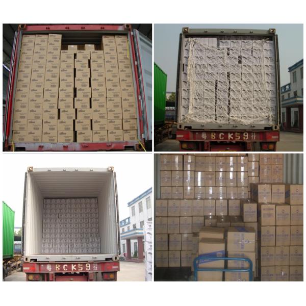 Heat Resistant Red RTV Gasket Maker , Flexible Quick Drying Silicone Sealant