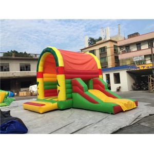 Animal Theme Inflatable Jumping Castle Commercial Grade Children Bouncer House