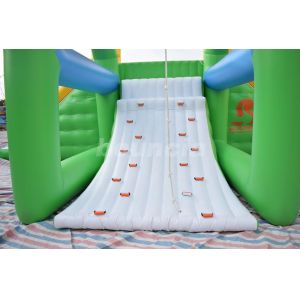 Customized Inflatable Water Toys, Inflatable Action Tower Wirh Swing