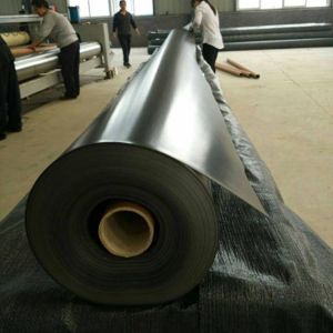 0.5mm 0.75mm 1.0mm Geomembrane Sheet Hdpe Liner