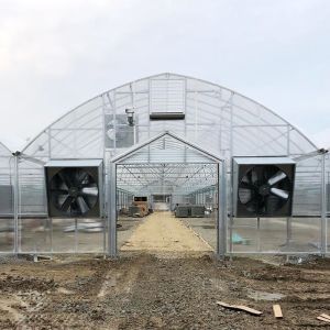 Multi-span Plastic UV Resistant Film Tunnel Agricultural Blueberry Greenhouse