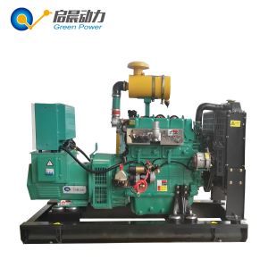 Factory directly sale CNG natural gas generator 10KW