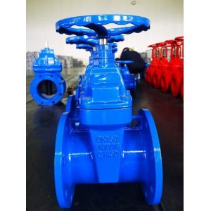 Customized Ductile Cast Iron Gate Valve With Rubber Seat Parallel Slide for
