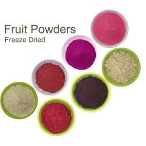 Mygou Foods Cranberry Fruit Juice Extract Powder OEM Packing