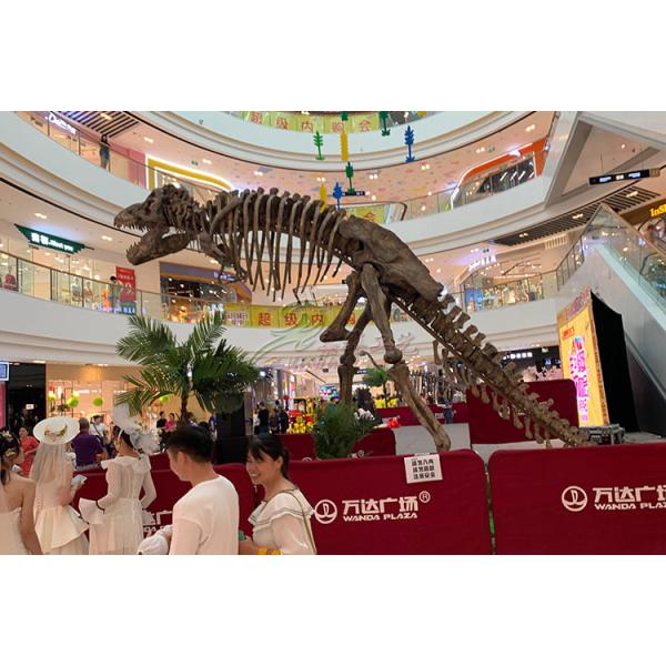 Buy Artificial Simulation Complete Dinosaur Fossil Model Customization Support at wholesale prices