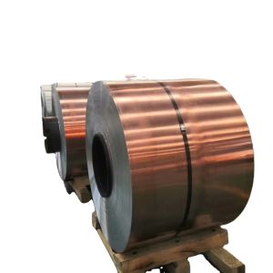 Quality Factory Direct Sale ASTM 1039 1040 1042 1043 Carbon Steel Coil for sale