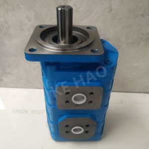 CBGJ Double Pump Square cover Spline Compact Original Gear Pump For Engineering