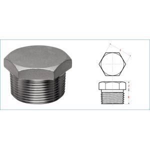Hex Head SCH STD GB Stainless Steel Forged Fittings