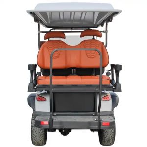 Off Road Club Car with Rear Hub Motor 6 Passenger 5KW Electric Hunting Golf Cart