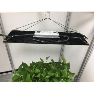 660nm 3000K High PPFD LED Grow Light