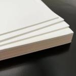 Supercritical Carbon Dioxide Foaming MPP Sheet Micron Sized Bubbles For Slippers