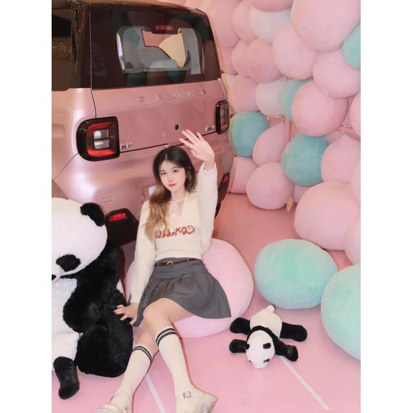 GEELY Panda Mini 2 Speakers And 1 Camera Sport And Comfortable Two Driving Modes Choice Electric Car With Synchronous Motor