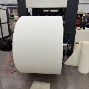 PE Coated Paper Roll for Disposable Cups and Containers
