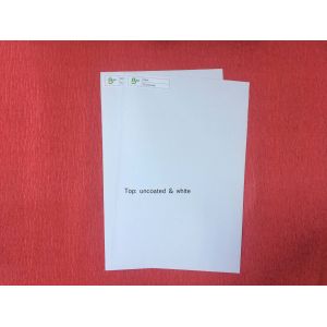 Recyclable Pulp Material Clay Coated Paper / Duplex Board White Back