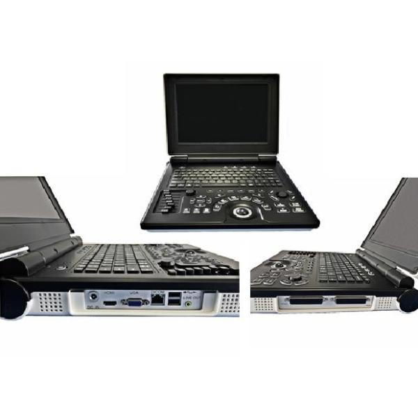 Buy OEM Portable Canine Veterinary Ultrasound Equipment 3D High Precision at wholesale prices