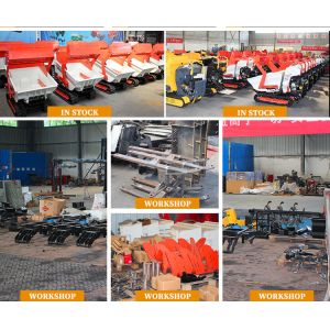 Small Size Crawler Dumper Trucks Rubber Track Crawler Tracked Dump Truck 800kg