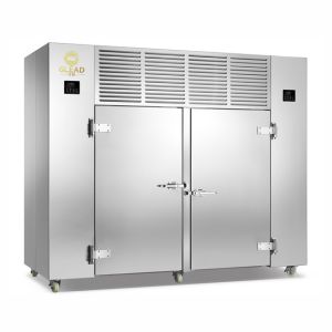 Quality Efficient 2700W Blast Chiller Cabinets with Air Cooling System Blast Chiller&amp;Freezer Cabinets for sale