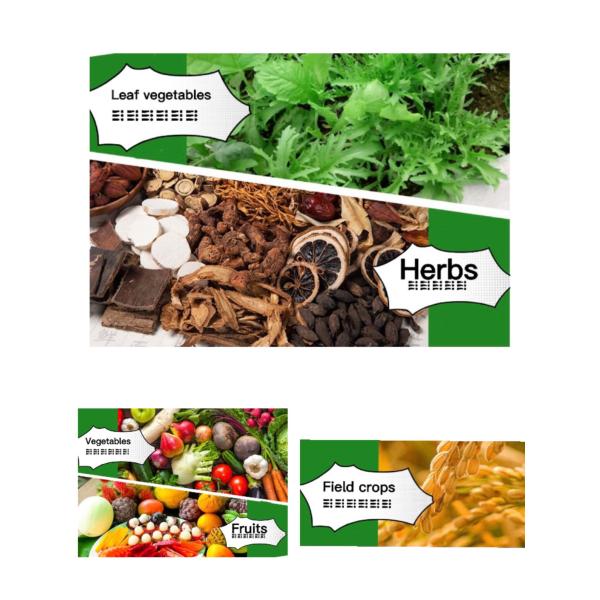 Seaweed Extract Organic Water Soluble Liquid Fertilizer Amino Seaweed