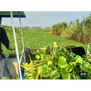 3000m2 Reed Aquatic Weed Harvester Water Hyacinth Harvester Machine