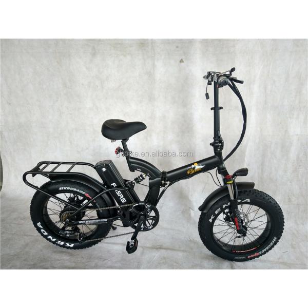 20 Inch 48V 500W 750W 1000W Electric Folding Bike with Fat Tire Max Speed 30-50Km/h