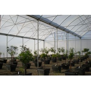 Multi Span Film Hydroponic Garden Greenhouse 10X30m Customizable
