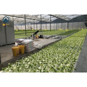 Indoor Farming Vertical Hydroponic NFT System Channel 100x50mm 100x100mm