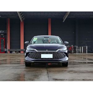 545Km Pure Electric Range and Rear Drive for Driving BYD EV Car 2025 New Model