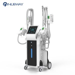 3 years warranty Cool scuplting cryolipolysis slimming machine fat freezing