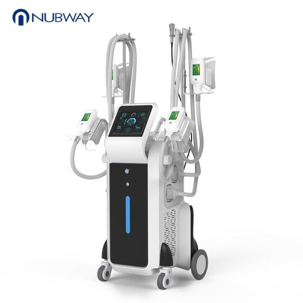 Buy Beauty equipment manufacturer body slimming machine 4 cryo handles cryolipolysis at wholesale prices