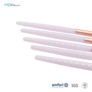 Plastic Handle 5pcs BSCI Nylon Hair Makeup Brushes