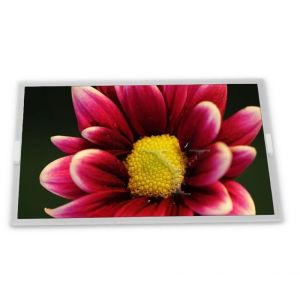 AT065TN14 TFT 6.5 industrial lcd panels Complete range of industrial screens Quality supplier