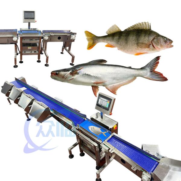 Buy 62m/min Speciality Fish Weight Grader Live Fish Weight Sorting Machine Computer Control at wholesale prices