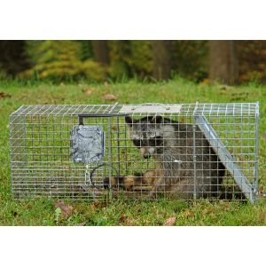 Wireless HD Hunting Cameras