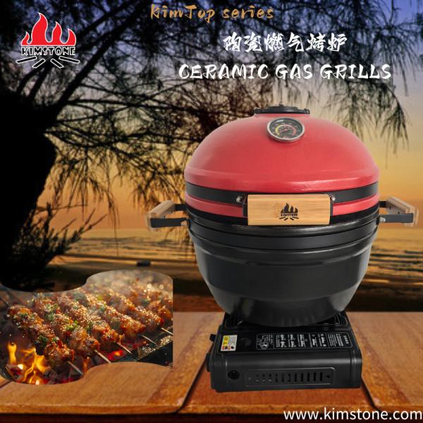 15inch Gas Oven Outdoor Bbq