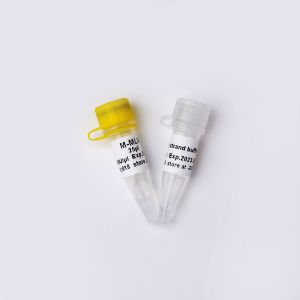 Quality M-MLV Reverse Transcriptase PCR Reagents R1042 for sale