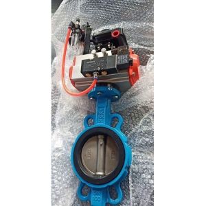 Cast Iron DI Manual Control Wafer Butterfly Valve and Fitting with Customized