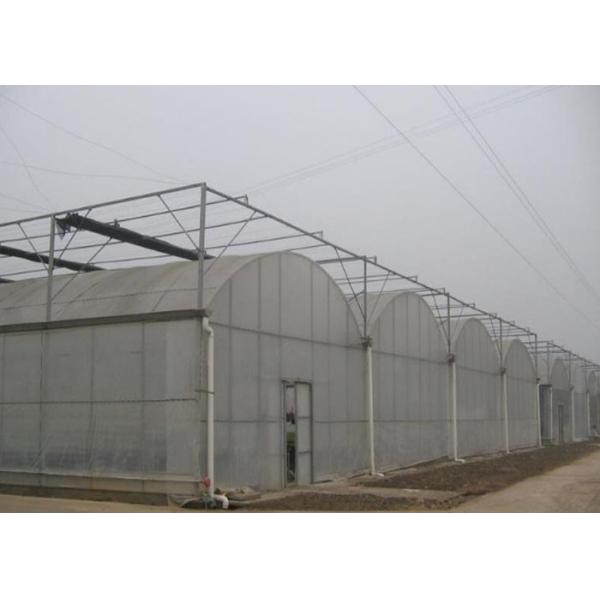 Buy Complete Multi Span Plastic Film Greenhouse With Heating / Cooling System at wholesale prices