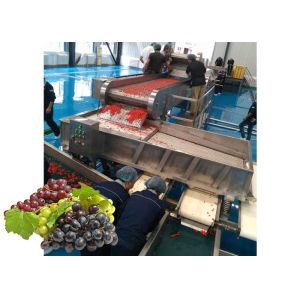 Industrial Grape Flavored Beverage Production Line For Grape Processing Plants