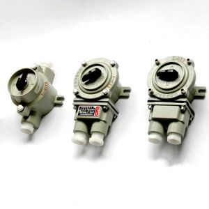 9mm-13mm Cable Spec Explosion Proof Switch with Surface Mounting and IP66